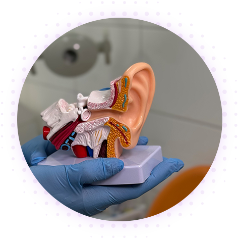 Хронические воспалительные заболевания ЛОР-органов