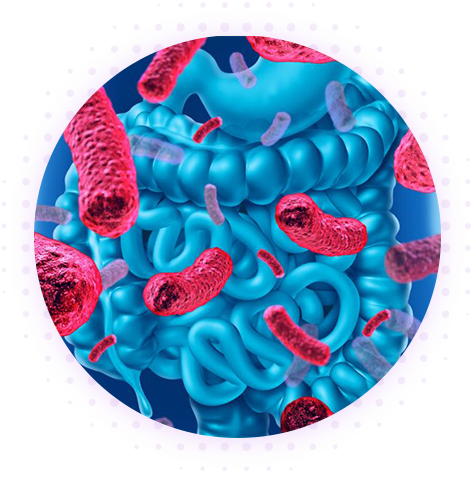Острые кишечные инфекции (ОКИ)